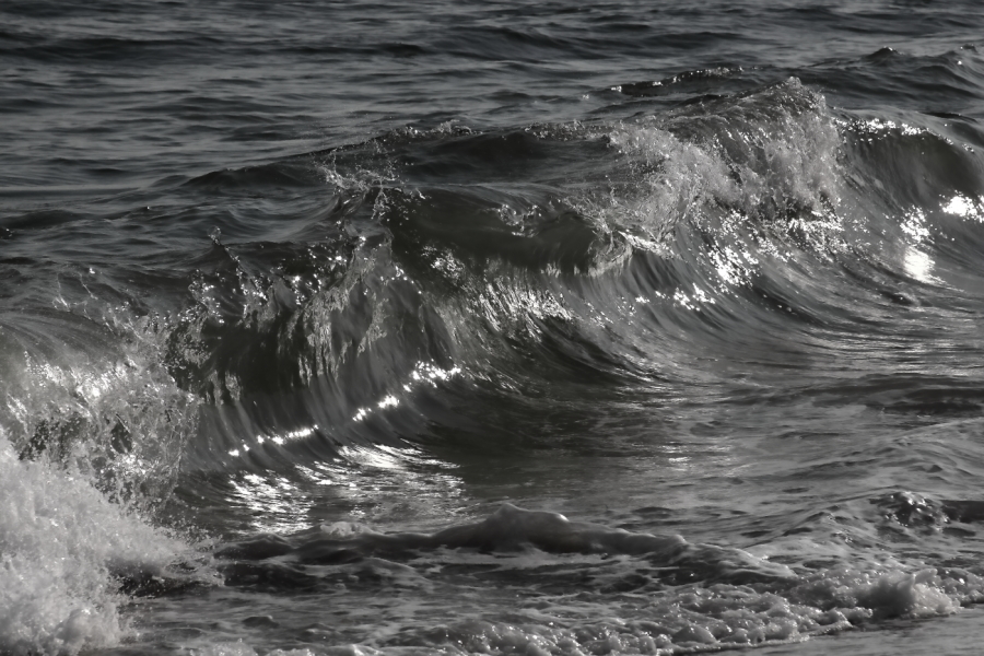 2012 08 24 9999 293ebw